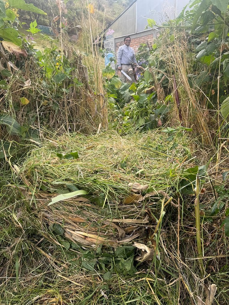 Huerta y trabajo colectivo en el territorio