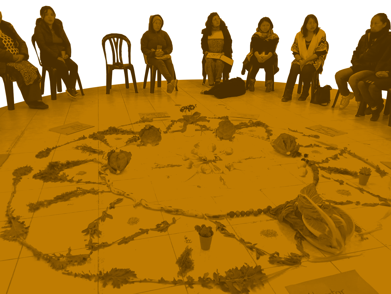 Ritual de inicio del proyecto Sabedoras