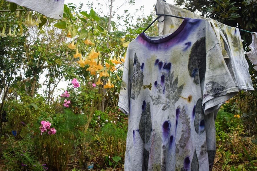 Estampación botánica, El viaje del Miranchuro